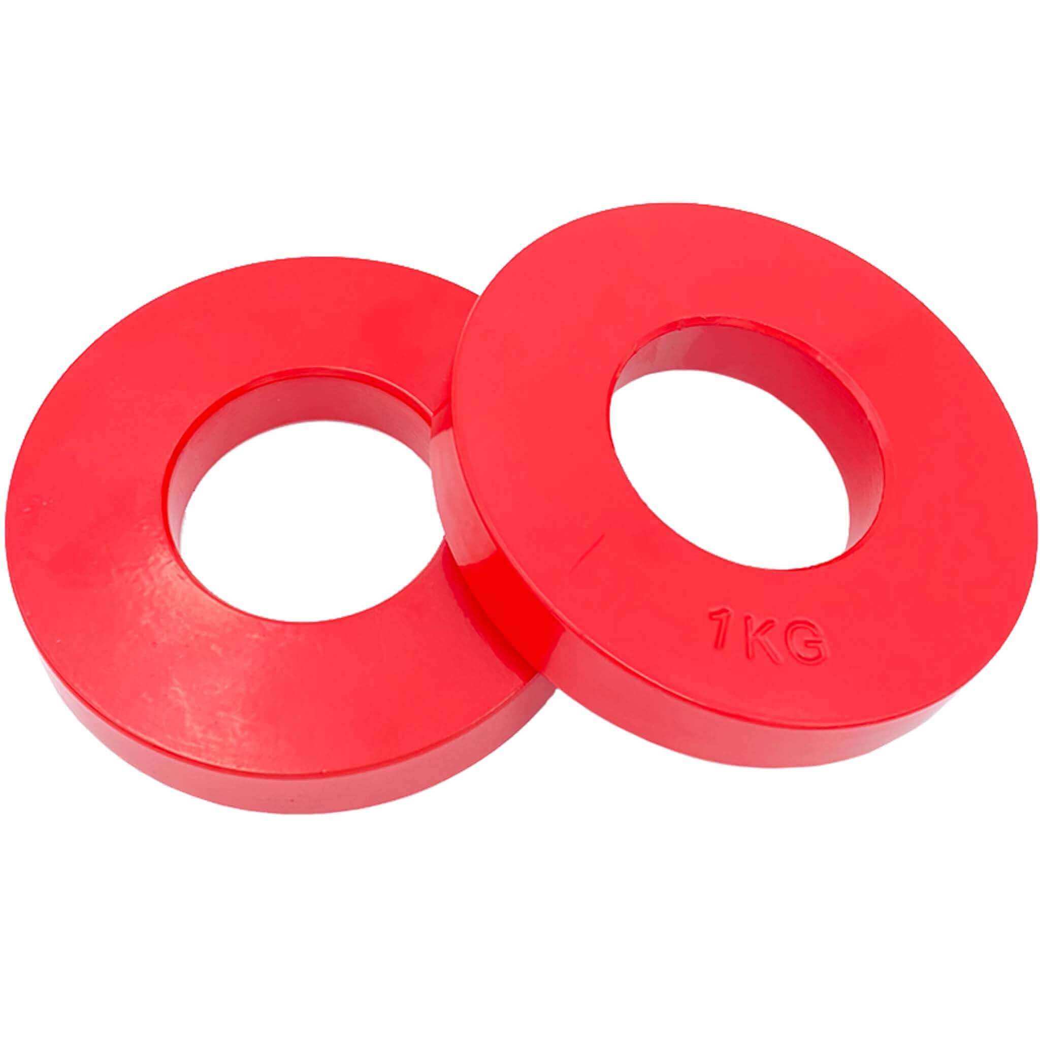 1kg Steel Fractional Plates Pair | INSOURCE